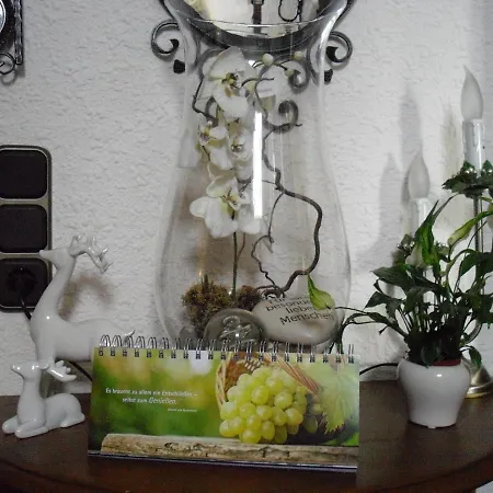 Biewer Pensjonat Ockfen